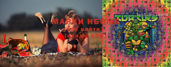 ECSTASY Гусев