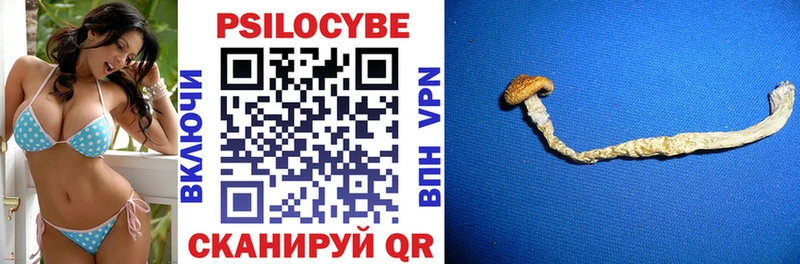 Псилоцибиновые грибы Magic Shrooms  Камызяк 